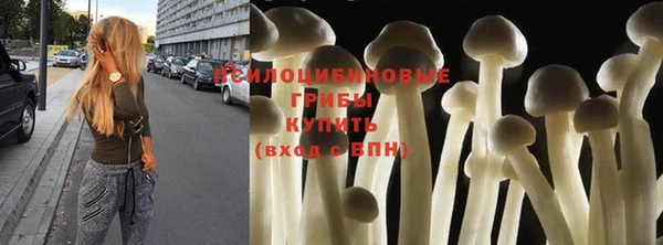 ПСИЛОЦИБИНОВЫЕ ГРИБЫ Балахна