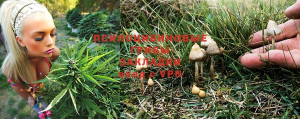 ПСИЛОЦИБИНОВЫЕ ГРИБЫ Балахна