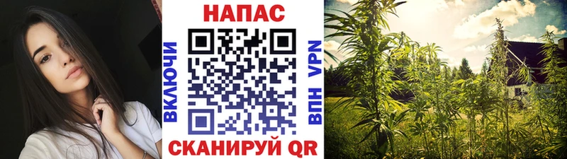 магазин продажи   Балахна  Канабис SATIVA & INDICA 